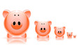 pig piggy bank