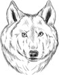 Vector: Wolf head Wolf head