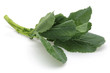 Fresh Collard Greens