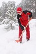 snow problem - calamity