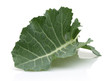 Fresh Collard Greens
