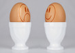 Bio Eier?