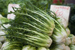 Foto: Puntarelle Puntarelle
