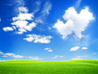 Field