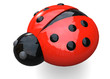 LADYBUG - 3D