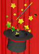 MAGIC SHOW - 3D