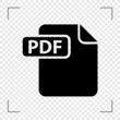Portable Document Format Icon