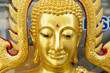 The gold buddha