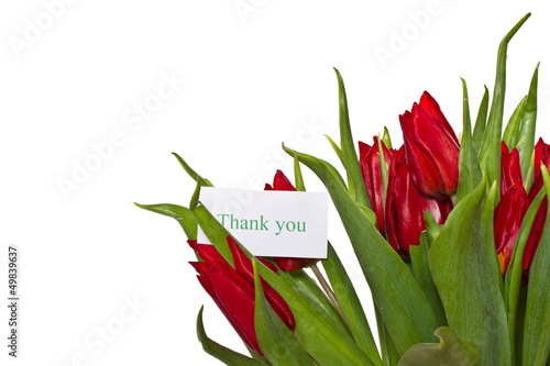 Photo: red tulips red tulips