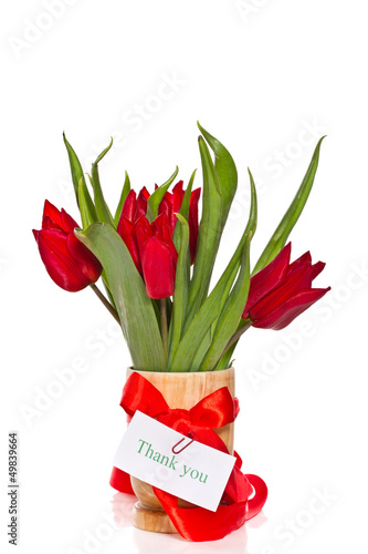 Photo: red tulips red tulips
