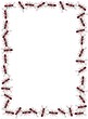 Ant Frame