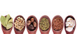 Spice collection on white background
