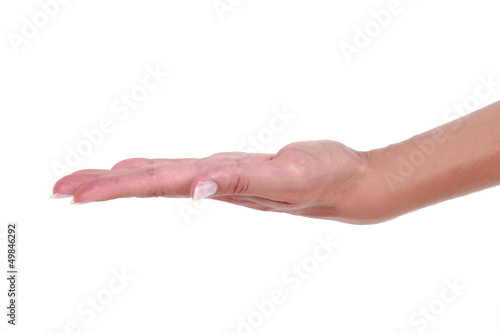 Photo: Open hand Open hand