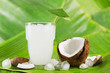Kokosnussmilch