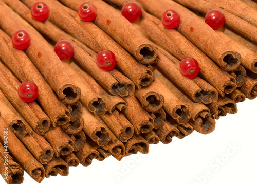 Photo: cinnamon cinnamon