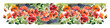 Poppies Banner