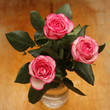 pink roses in vase on a wooden table