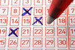 Photo: lotto lotto