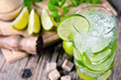 Fresh mojito drink