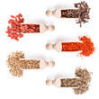 Collection of spices