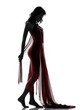 beautiful asian woman naked behind red veil silhouette