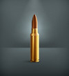 Bullet