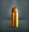 Bullet