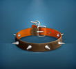 Dog collar