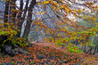 Etna - beautiful autumn landscape