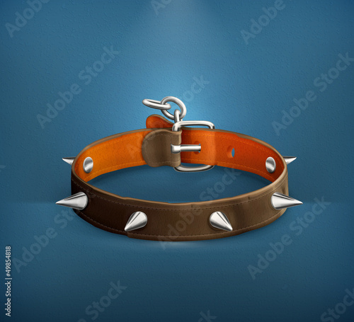 Vector: Dog collar Dog collar