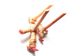 Galangal on white background