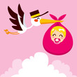 Baby Girl Delivery Stork Baby Girl Delivery Stork