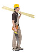 Carpenter