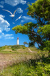 Insel Hiddensee
