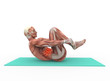 Anatomy and abdominal