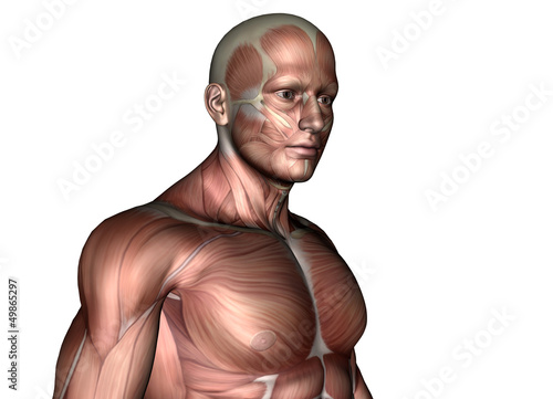 Illustration: Brust Brust
