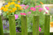Garten 31