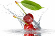 Obst 392