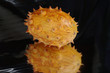 Kiwano, Horngurke, Hornmelone, Cucumus metuliferus