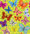 butterfly_pattern_green