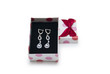 Silver earrings in a box isolated on white background