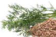 fresh dill and dry