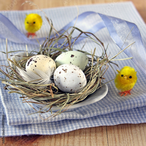 Photo: kleines osternest mit osterküken kleines osternest mit osterküken
