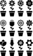 Set of flowers in a pot
