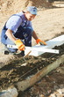 sidewalk pavement construction works