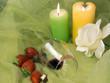 sensual, voluptuos seductive evening for lovers