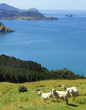 Neuseeland