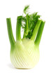 Fresh fennel