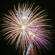 A Night Sky Full of Exploding Fireworks