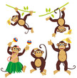 Set funny monkeys
